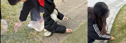 未命名的设计.jpg
